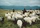 Rural Romania 2000_00054A.jpg.jpg