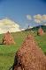 2 Romania 2002 Carpathian scene haystacks.jpg.jpg