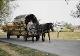 77 Romania 2002, Horse transport, travelling ladder sellers.jpeg.jpg
