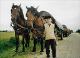 14 Romania 2002 Mountain village Arieseni woodsellers from Patrahaitesti horse caravan.jpeg.jpg