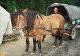 Arieseni_villagers_Romania_2001_00012A.jpg.jpg