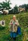 16 Romania 2002 Mountain village Arieseni knitting and watching cows.jpeg.jpg